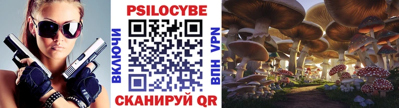 Купить закладки  Высоцк  Галлюциногенные грибы мицелий 